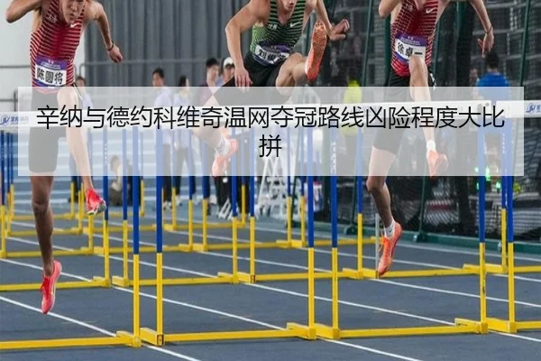 xin-na-yu-de-yue-ke-wei-qi-wen-wang-duo-guan-lu-xian-xiong-xian-cheng-du-da-bi-pin-2-440.jpg
