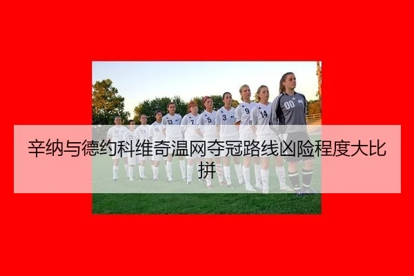 xin-na-yu-de-yue-ke-wei-qi-wen-wang-duo-guan-lu-xian-xiong-xian-cheng-du-da-bi-pin-3-683.jpg