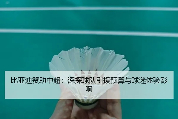 bi-ya-di-zan-zhu-zhong-chao-shen-tan-qiu-dui-yin-yuan-yu-suan-yu-qiu-mi-ti-yan-ying-xiang-2-485.jpg